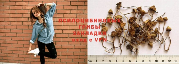 героин Алзамай